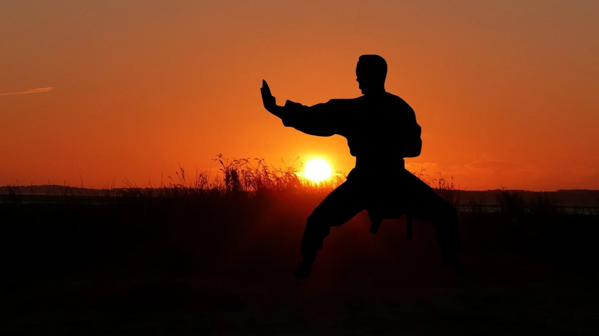 Bujinkan – japoniški kovos menai