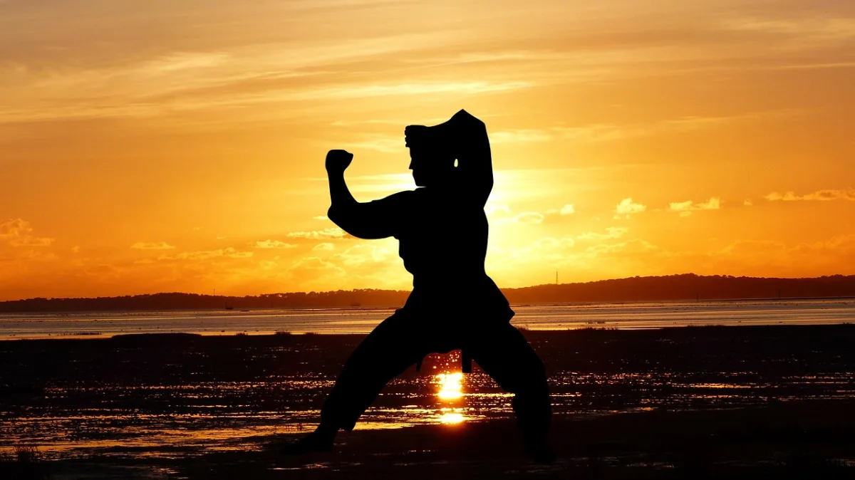 Bujinkan – japoniški kovos menai